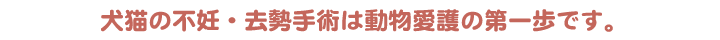 犬猫の不妊・去勢手術は動物愛護の第一歩です。
