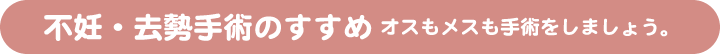 不妊・去勢手術のすすめ
