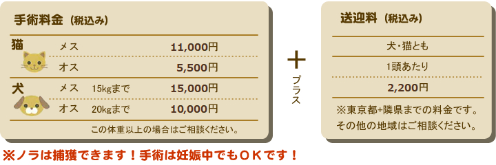 手術料金（税込み）