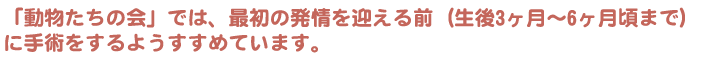 「動物たちの会」では、最初の発情を迎える前（生後3ヶ月～6ヶ月頃まで）に手術をするようすすめています。