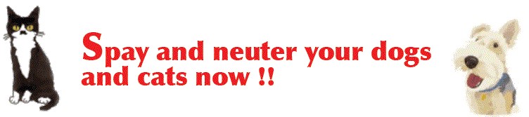 Spay and neuter your dogs and cats now !!